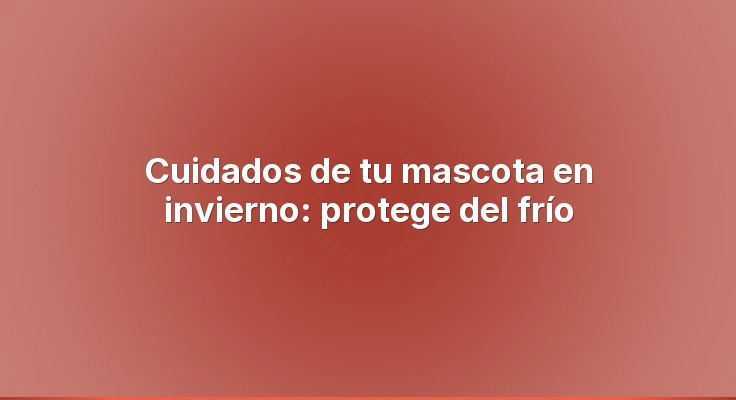 Cuidados de tu mascota en invierno: protege del frío