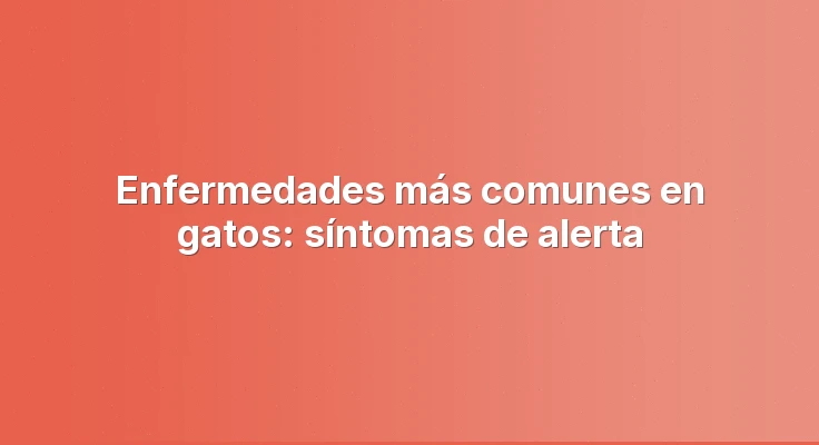 Enfermedades más comunes en gatos: síntomas de alerta