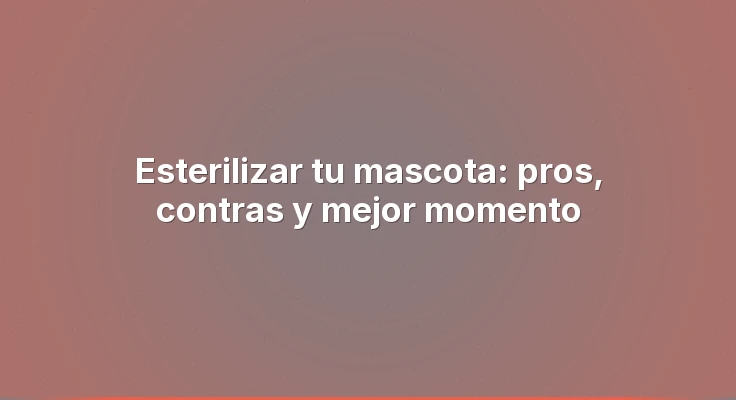 Esterilizar tu mascota: pros, contras y mejor momento