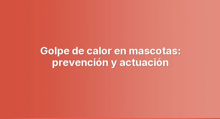 Golpe de calor en mascotas: prevención y actuación