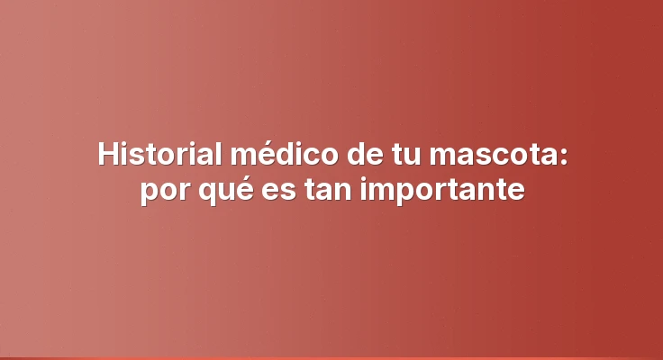 Historial médico de tu mascota: por qué es tan importante