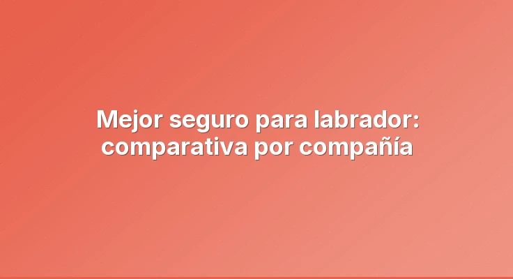 Mejor seguro para labrador: comparativa por compañía