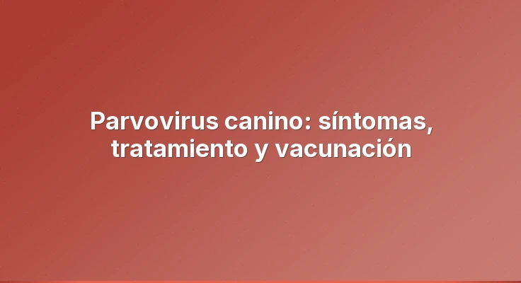 Parvovirus canino: síntomas, tratamiento y vacunación