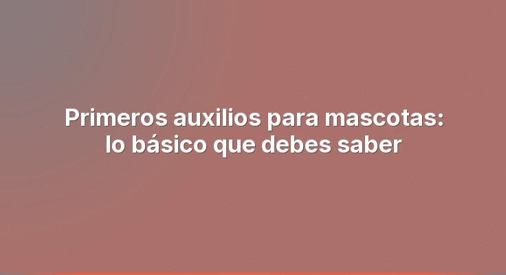 Primeros auxilios para mascotas: lo básico que debes saber