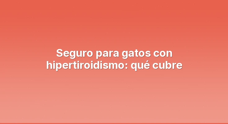 Seguro para gatos con hipertiroidismo: qué cubre