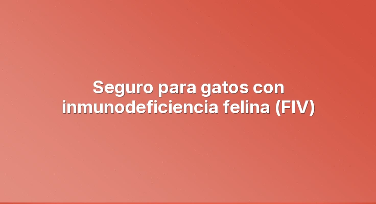 Seguro para gatos con inmunodeficiencia felina (FIV)
