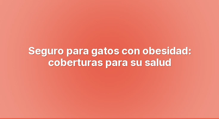 Seguro para gatos con obesidad: coberturas para su salud