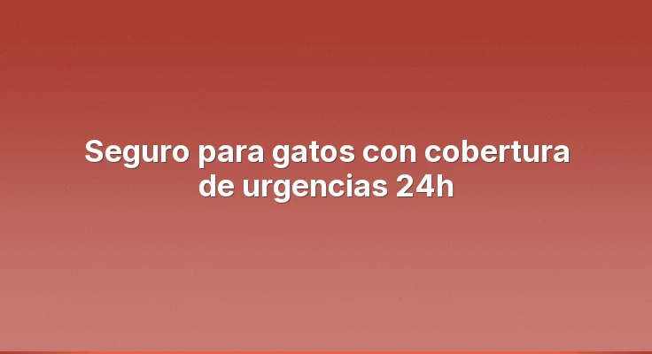Seguro para gatos con cobertura de urgencias 24h
