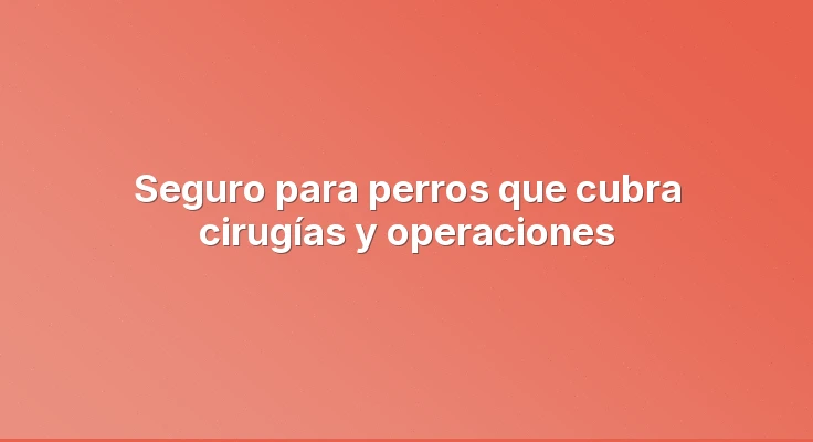 Seguro para perros que cubra cirugías y operaciones