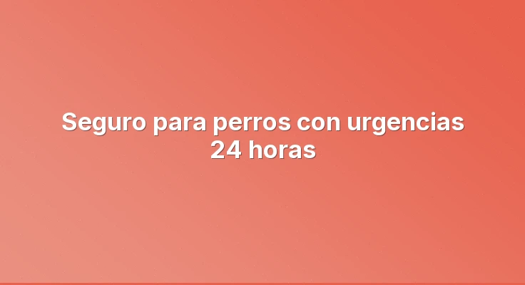 Seguro para perros con urgencias 24 horas