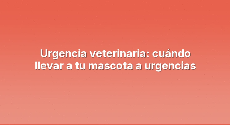 Urgencia veterinaria: cuándo llevar a tu mascota a urgencias